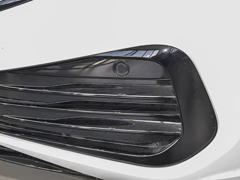 2025�� 300TSI DSG��Խ��