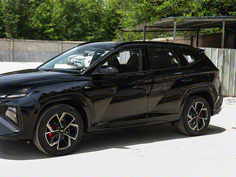 2025�� ;ʤL 1.5T ��Ӣ�� N-Line