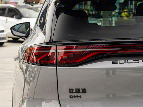 2025�� DM-i 115KM �����콢��