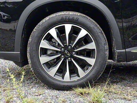 2025�� 290TGDI DCT����� 7��