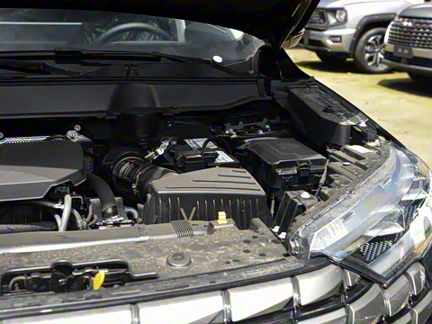 2024�� 2.0T ����Max