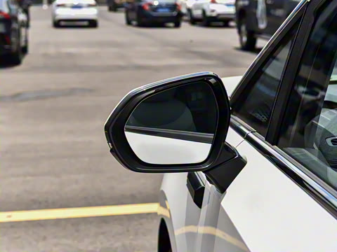 2024�� ���� ���������� ������