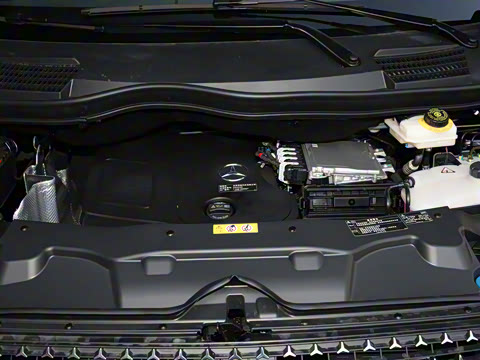 2025�� �������Ȱ�