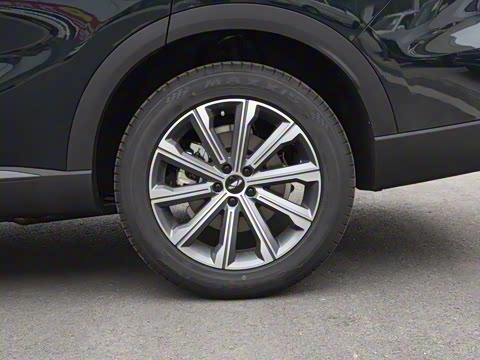 2025�� 120 �������������� 7�� �������