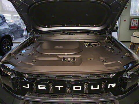 2024�� 2.0T ������ԽPRO���ְ�