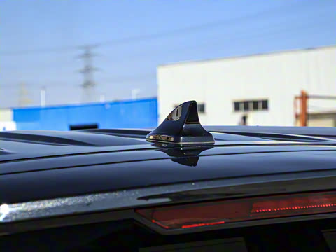 2025�� ������