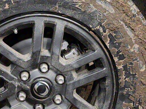 2025�� ��׼��