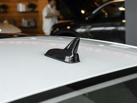 2024�� 300TSI DSG��Խ��