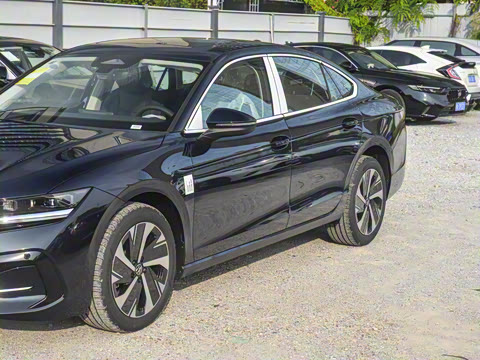 2024��  300TSI DSG���������۰�