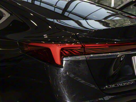 2025�� �׽�ά�ǰ�