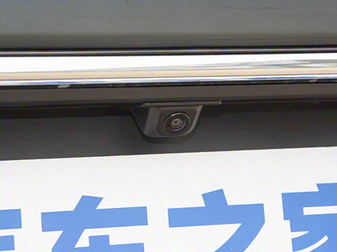 2025�� 445km ��ѡ��