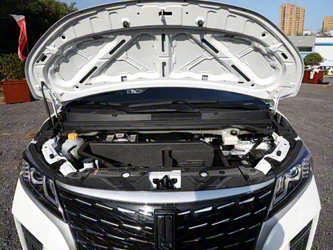 2025�� 401km ���� 7��