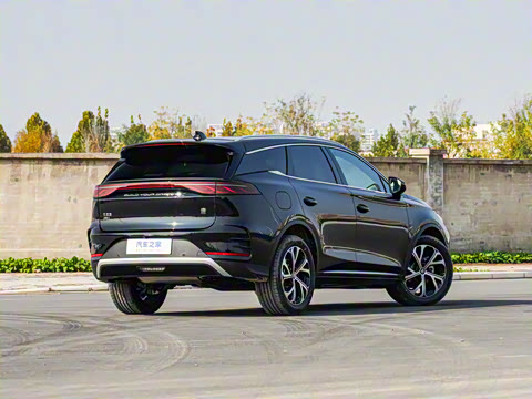 2025�� DM-i 115KM �����