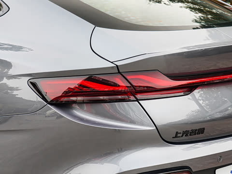 2025�� 2.0T 405 AT������