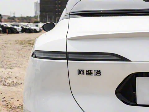 2025�� Max�����