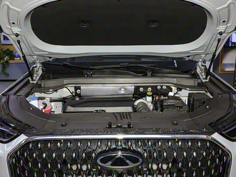 2024�� 2.0T �������� 5��