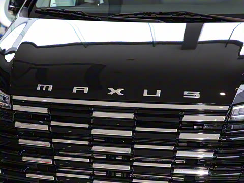 2025�� MAX 2.0T �Զ������� ���� 7��