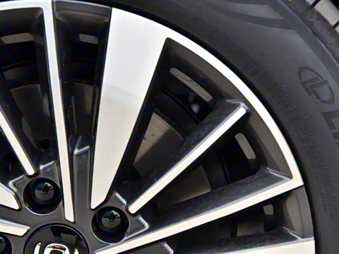 2024�� ����� 145 ������