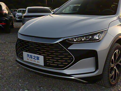 2025�� DM-i 115KM ������