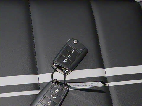 2025�� 300TSI DSG���������