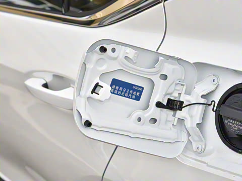 2025�� 300h ������