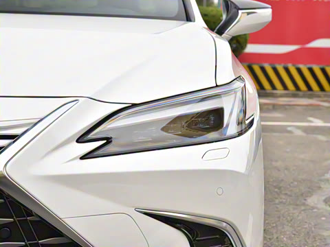 2025�� 300h ������