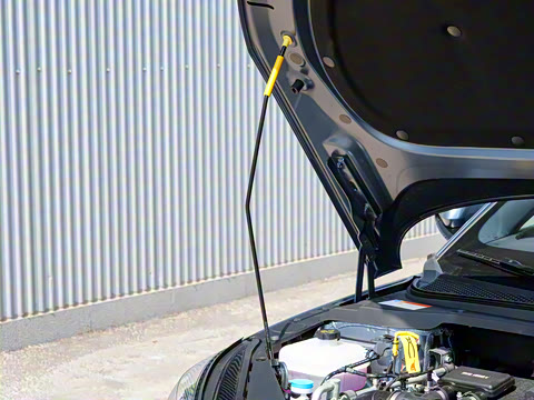 2024�� DM-i 80KM�����