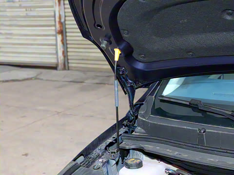 2024�� ������ 2.0T �콢��