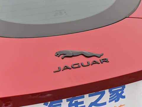 2024�� P300 75������Ӳ����