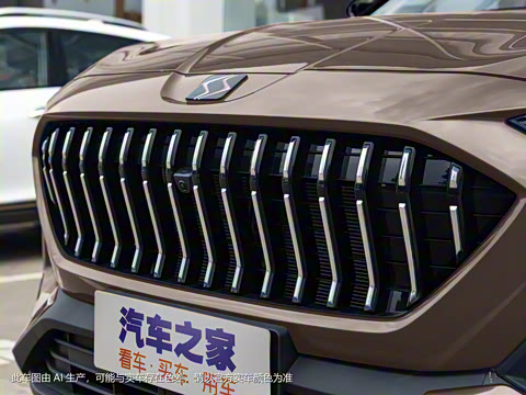 2021�� 300T DCT���������� 6��