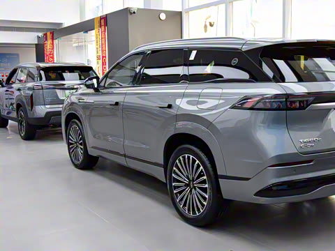 2025�� 1.5T 106KM������ 5�� �������