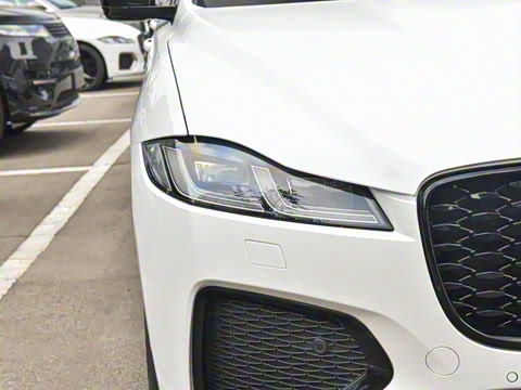 2025�� P250 R-Dynamic SE