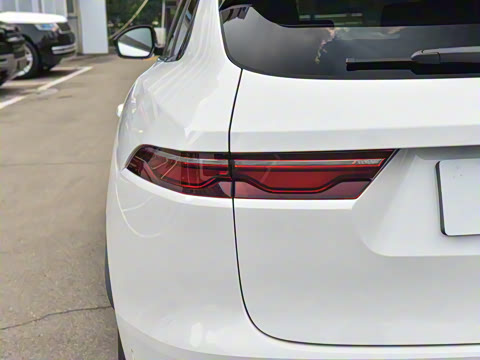 2025�� P250 R-Dynamic SE