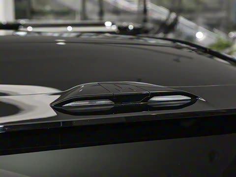 2025�� ����������