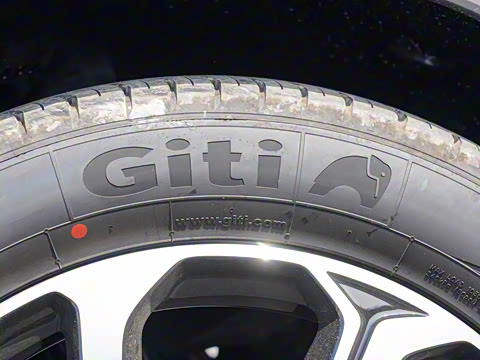 2025�� DM-i 115KM ������