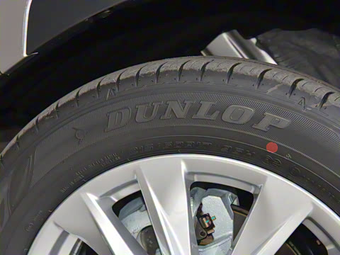 2024�� 2.0L ���ܵ��˫�� ��Ӣ��