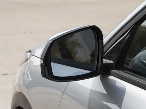 2025�� 55km ������