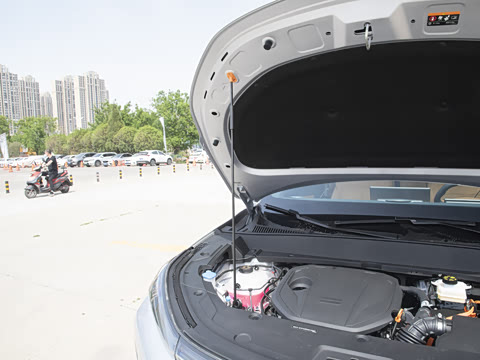 2025�� 55km ������