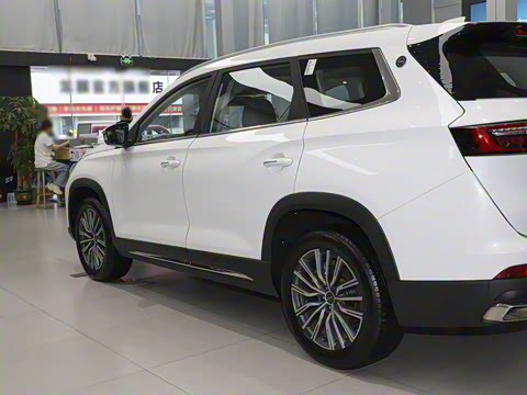 2025�� 1.6TD DCT��Ӣ�� 7��