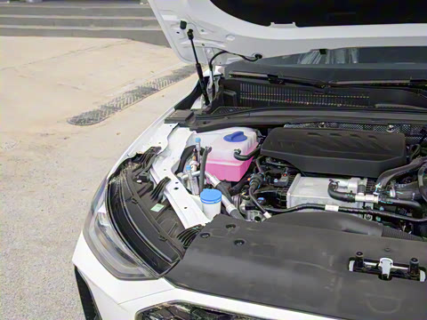 2025�� 1.5TGDI 145km ������