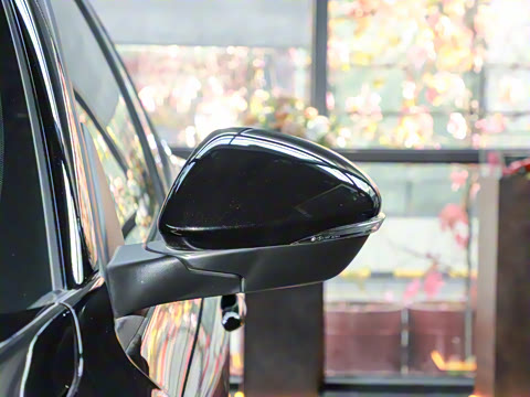 2024�� 2.0T 280HP Dragon Edition �����޶���