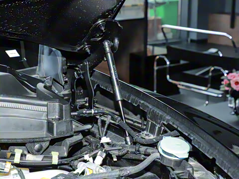 2024�� 2.0T 280HP Dragon Edition �����޶���