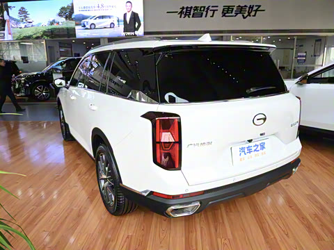 2025�� �캽ϵ�� 2.0TGDI ���������� 5��