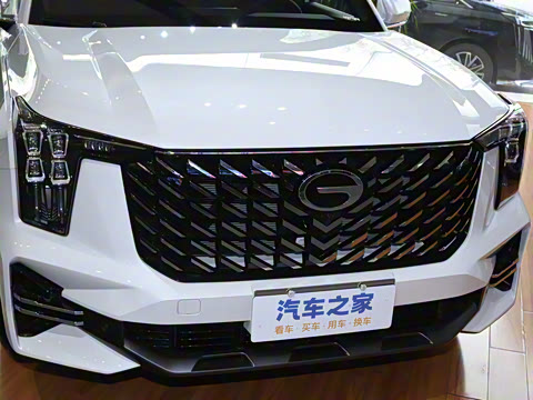 2025�� �캽ϵ�� 2.0TGDI ���������� 5��