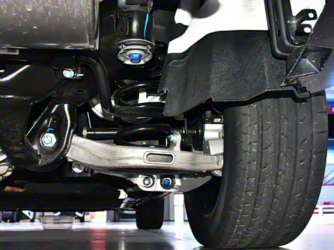 2025�� 180 ��������Max���� 6��