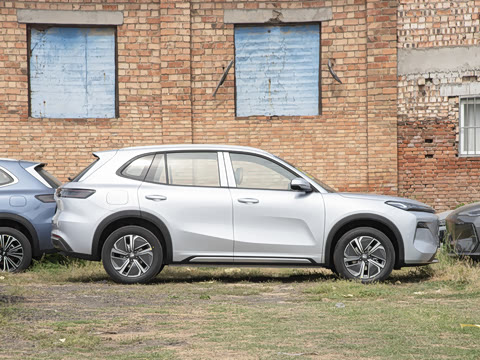 2025�� 55km ̽����