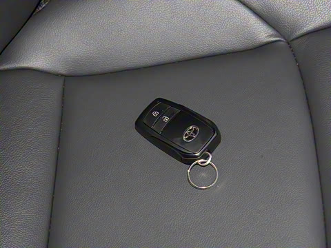 2024�� ˫�� 2.5L E-CVT��������PLUS��