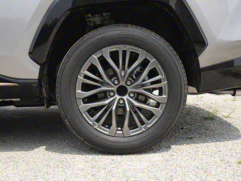 2024�� ˫�� 2.5L E-CVT��������PLUS��