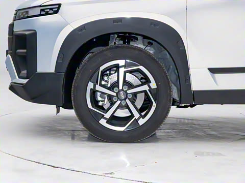 2025�� 1.6T �������ְ�