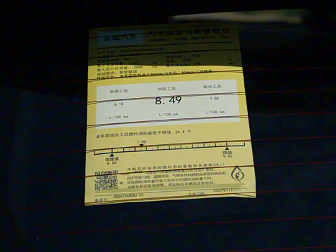 2024�� 2.0T ����Max